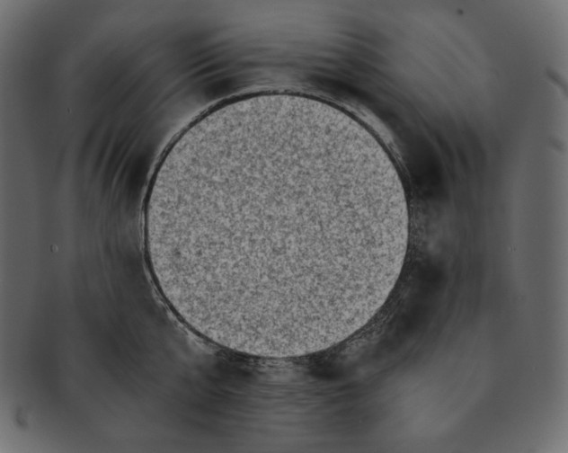 X0000091360807200709071301