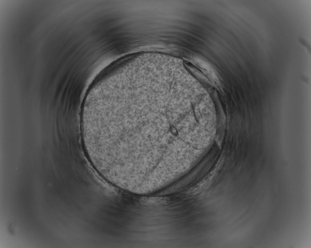 X0000091360808200709071301