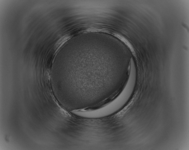 X0000091360809200709071301