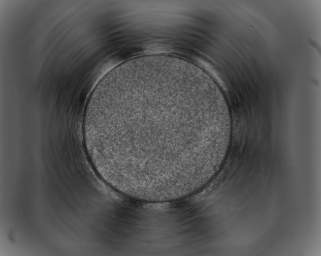 X0000091360810200709071301