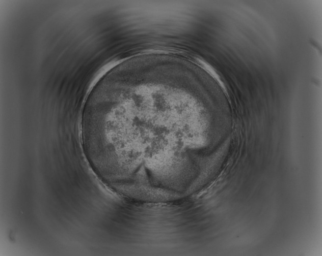 X0000091360811200709071301