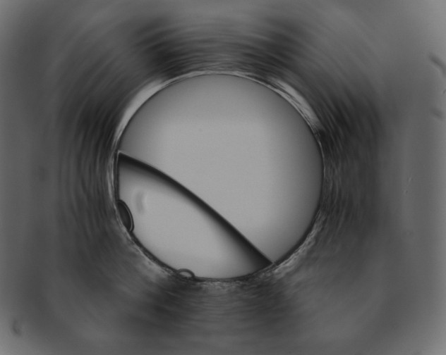 X0000091360812200709071301