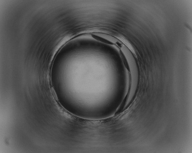 X0000091360813200709071301