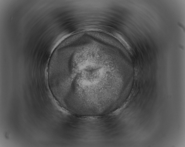 X0000091360814200709071301