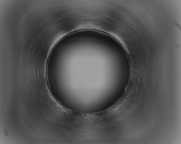 X0000091360815200709071301