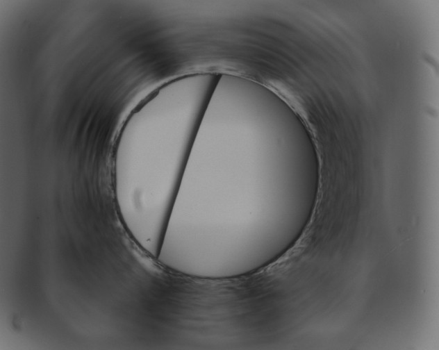 X0000091360816200709071301