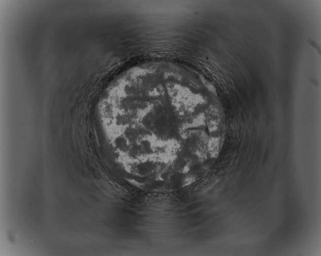 X0000091360817200709071301