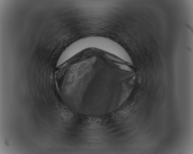 X0000091360818200709071301