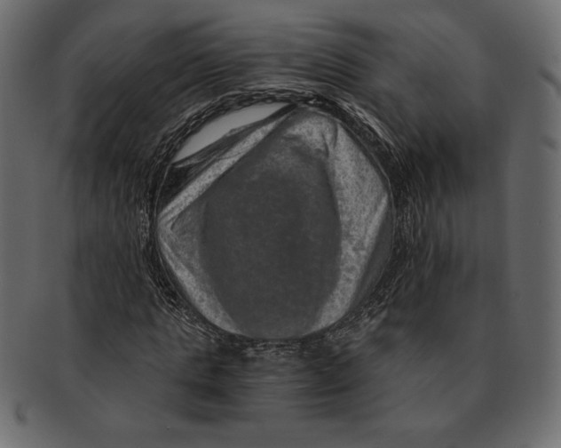 X0000091360821200709071301