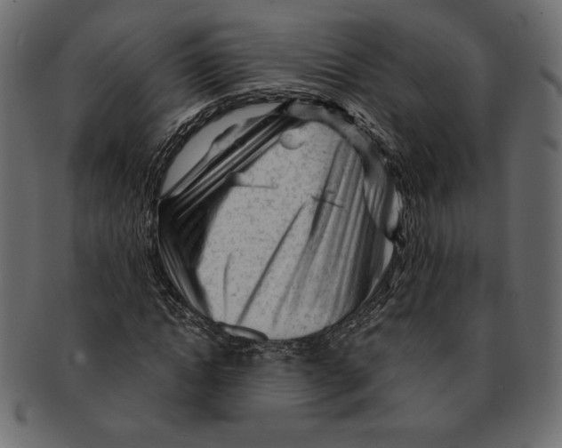 X0000091360822200709071301