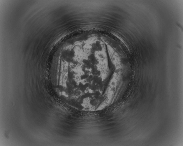 X0000091360823200709071301