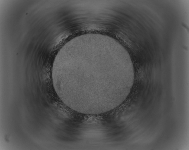 X0000091360824200709071301