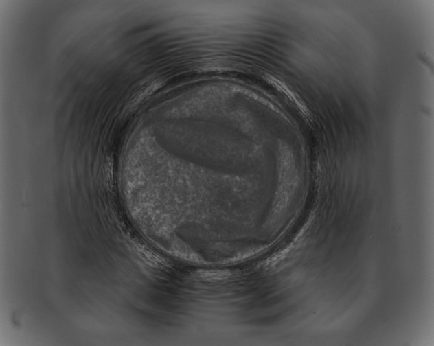 X0000091360825200709071301