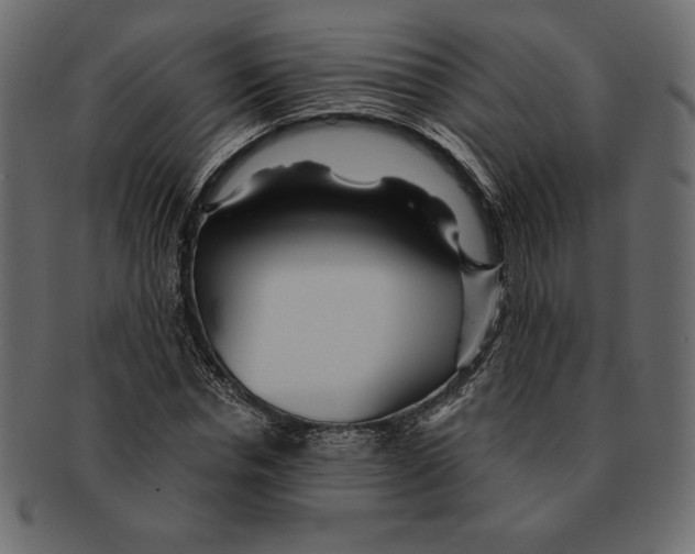 X0000091360826200709071301