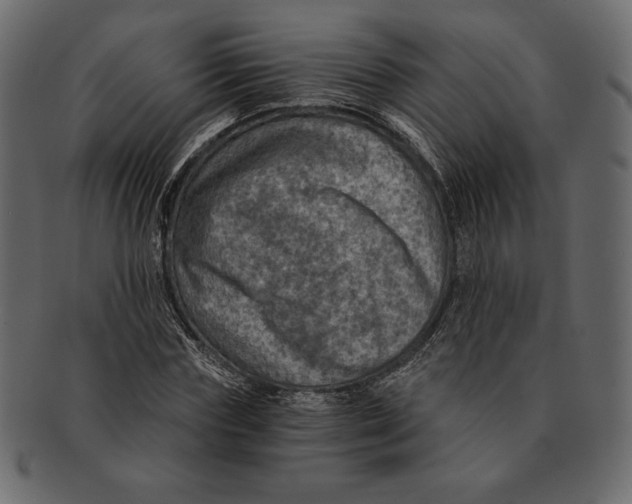 X0000091360827200709071301