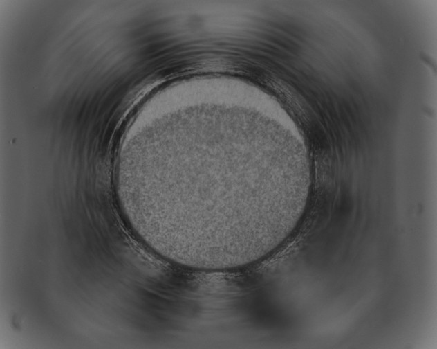 X0000091360828200709071301