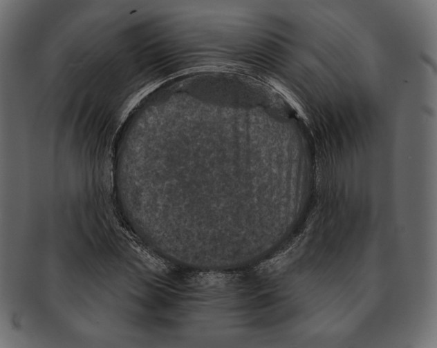 X0000091360829200709071301