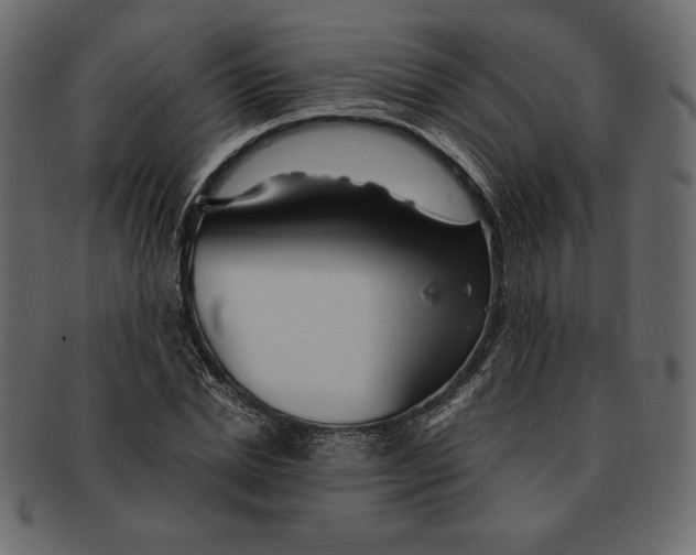 X0000091360830200709071301