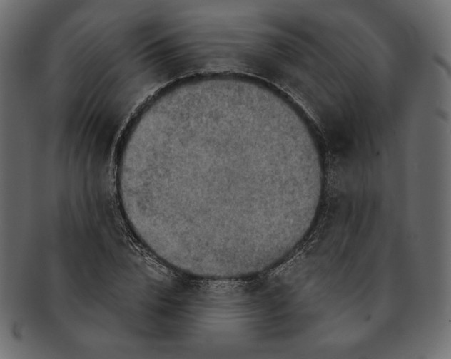 X0000091360832200709071301