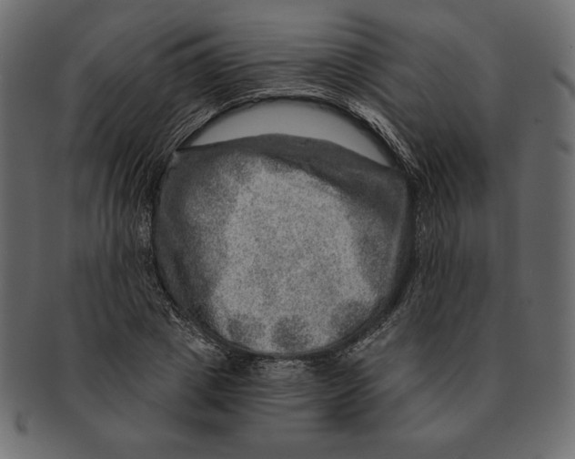 X0000091360833200709071301