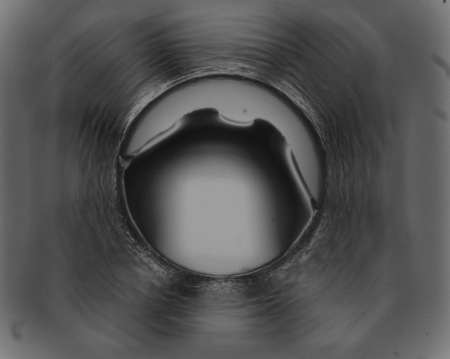 X0000091360834200709071301