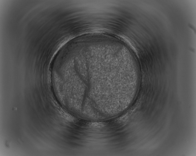 X0000091360835200709071301