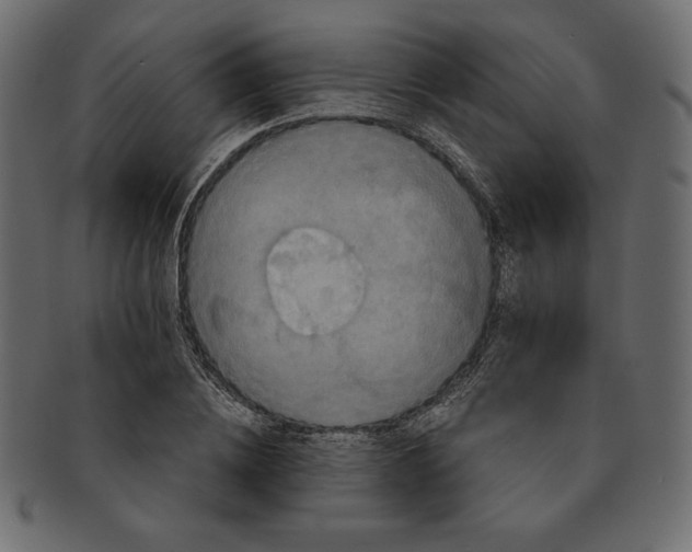 X0000091360836200709071301