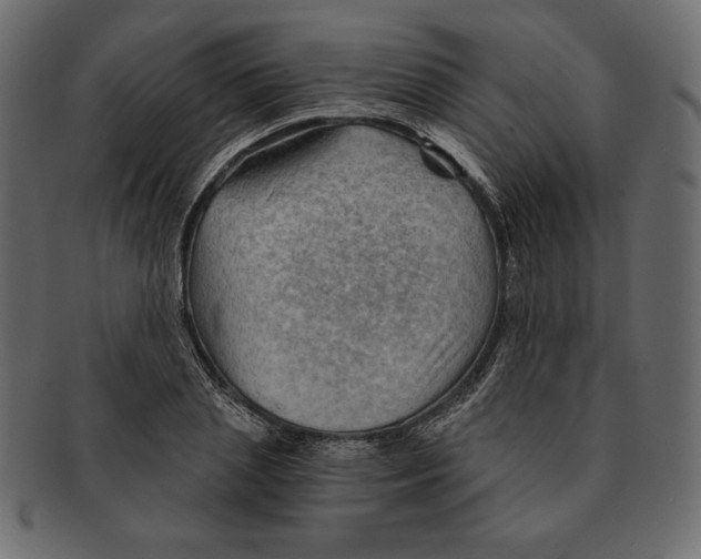 X0000091360837200709071301