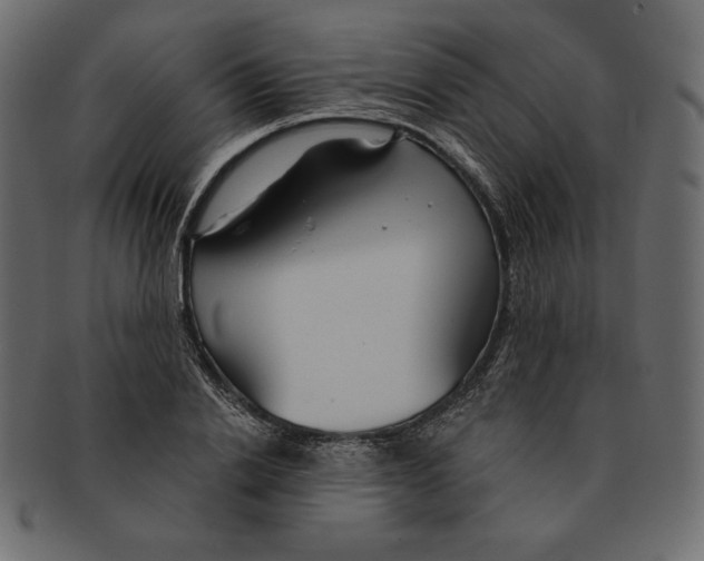 X0000091360838200709071301