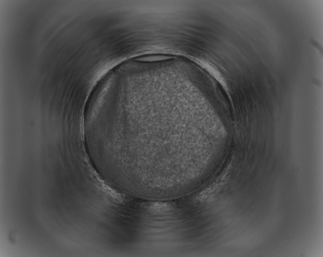 X0000091360839200709071301