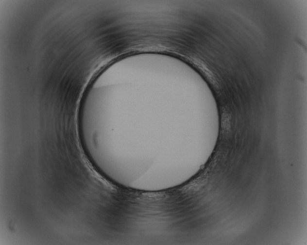 X0000091360840200709071301