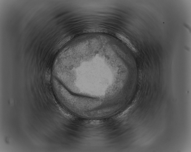 X0000091360841200709071301