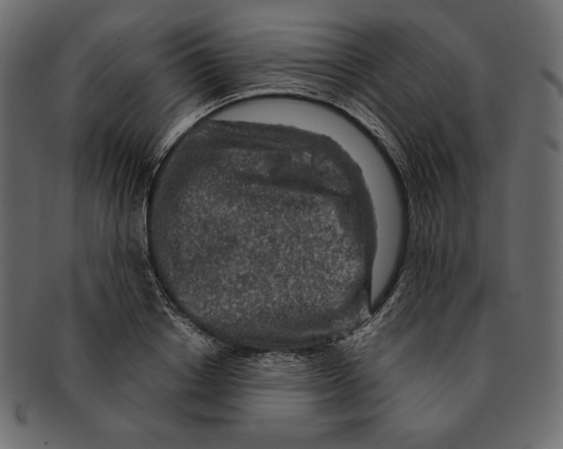 X0000091360842200709071301