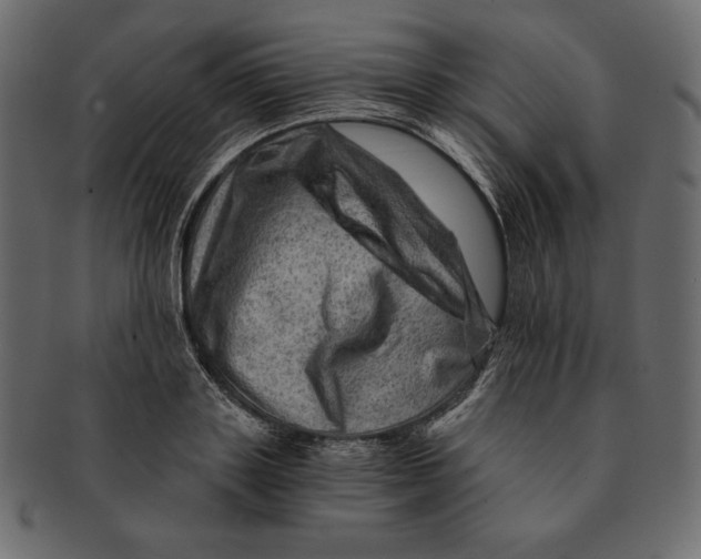 X0000091360843200709071301