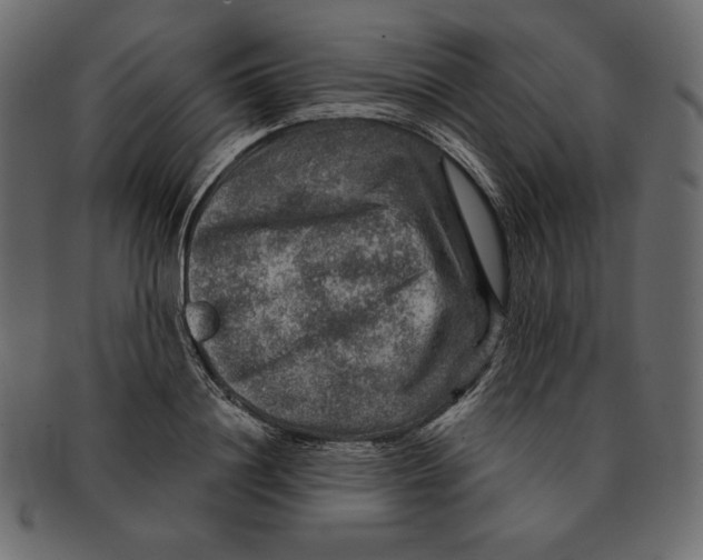 X0000091360844200709071301