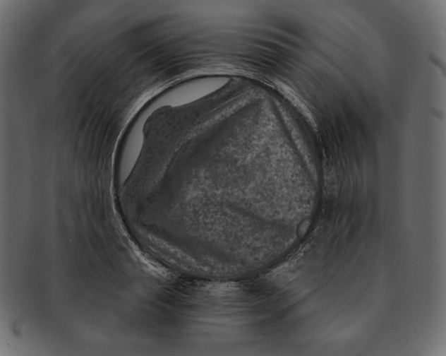 X0000091360845200709071301