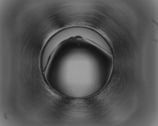 X0000091360846200709071301