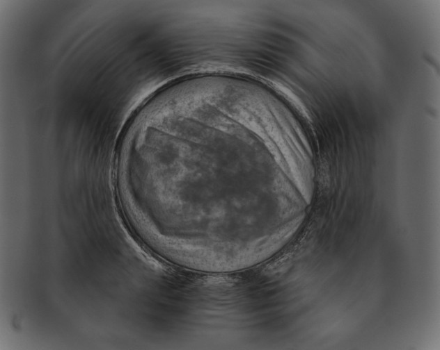 X0000091360847200709071301