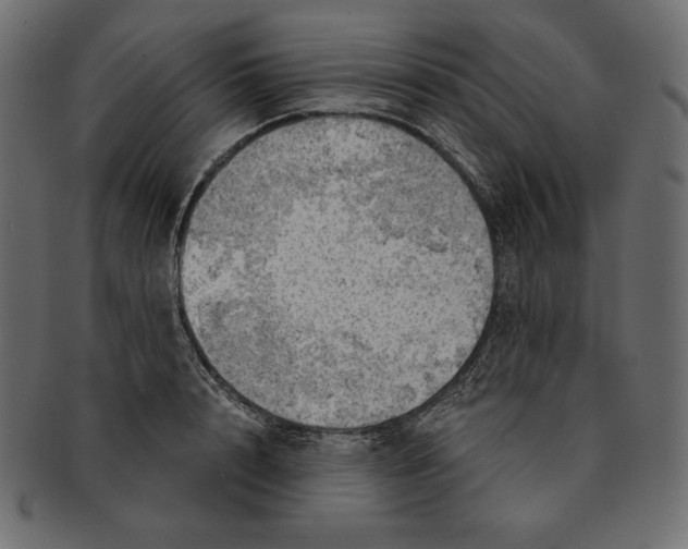 X0000091360848200709071301