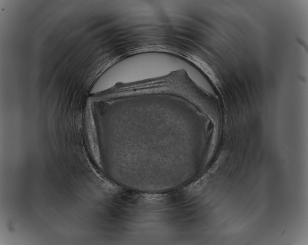 X0000091360849200709071301