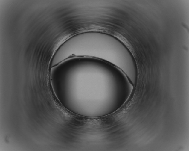 X0000091360850200709071301