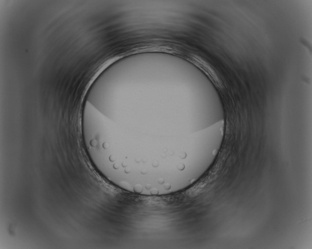 X0000091360852200709071301