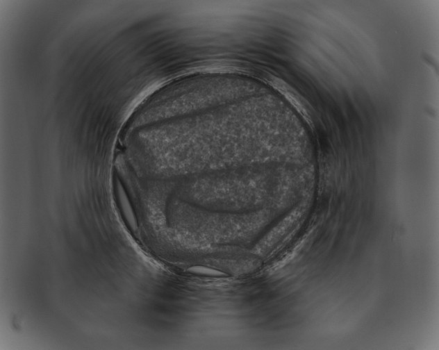 X0000091360853200709071301