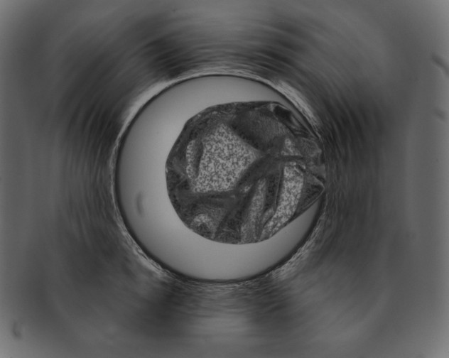 X0000091360854200709071301