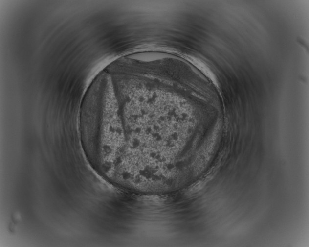 X0000091360855200709071301