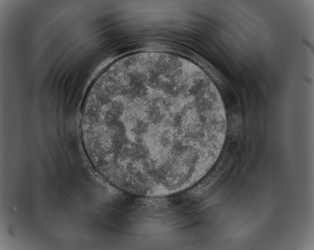 X0000091360856200709071301