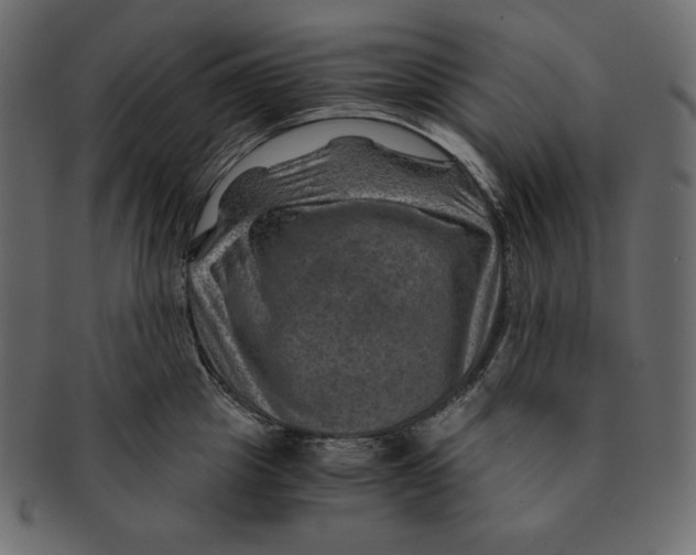 X0000091360857200709071301