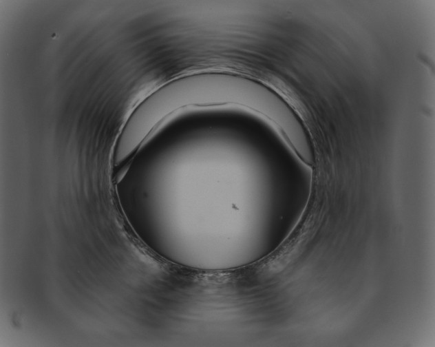 X0000091360858200709071301