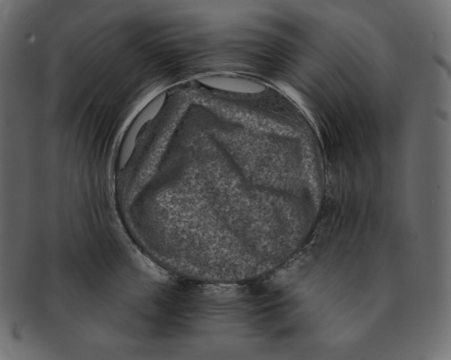 X0000091360859200709071301