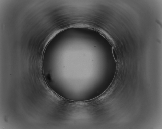 X0000091360860200709071301